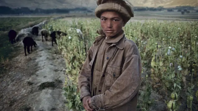 فیلیپ دی مورفی سفیر امریکا در آلمان: "وقتی افغانستان را از دریچه دوربین استیو مک کوری نگاه می کنیم به این نتیجه می رسیم که آنجا یک کشور پرت و دور افتاده و میدان جنگ نیست، کشوری است دارای مردمی با رسم و رسوم و فرهنگی جدا از جنگ."
