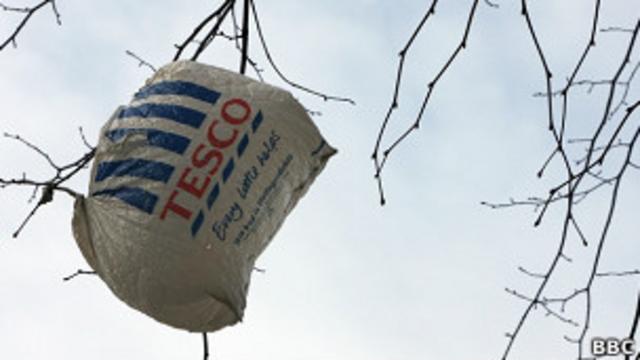 Пакет с логотипом Tesco на ветке дерева