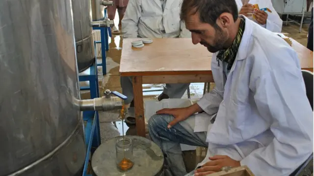 در حال حاضر تنها یک کارخانه دولتی برای تولید عسل در کابل وجود دارد که به کمک کشور فرانسه عسل زنبورداران را خریداری، تصفیه و بسته بندی می کند.