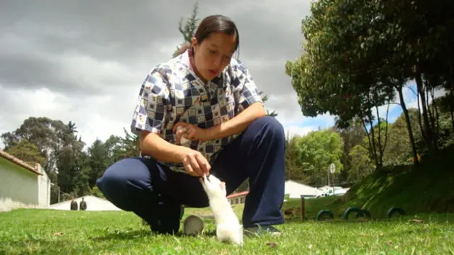 Luisa Fernanda Méndez treina com rato. Foto: Arquivo Luisa Méndez (Laboratório ESPOL)