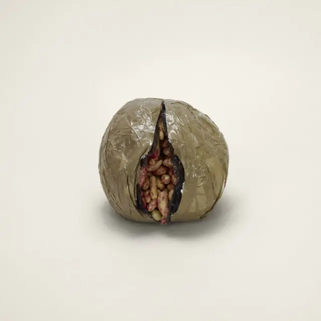 Foto: © Taryn Simon. Cortesia Gagosian Gallery.