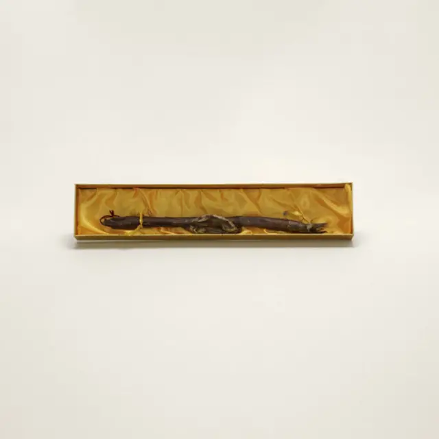 Foto: © Taryn Simon. Cortesia Gagosian Gallery.