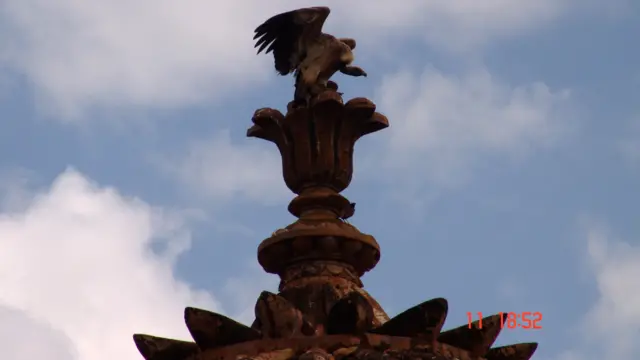 ओरछा के गिद्ध