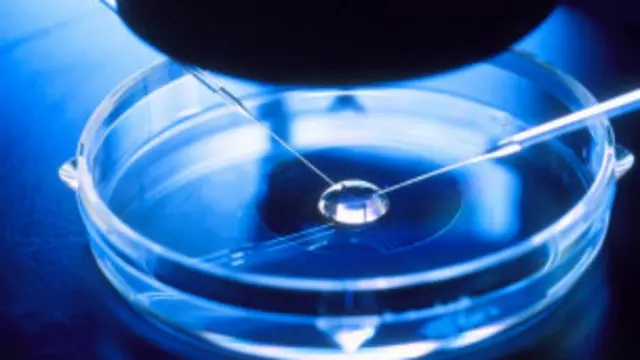 Fertilização in vitro | Foto: PA