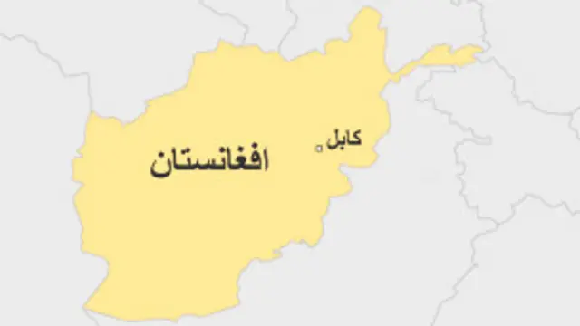 په لوګر او پکتیا ولایتونو کې ځايی چارواکي وايي د بې پیلوټه الوتکو په درې جلا، جلا بریدونو کې نهه وسلوال وژل شوي دي. 