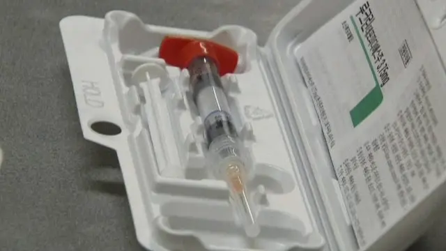 Ular mushukning ichiga qattiq kiradilar