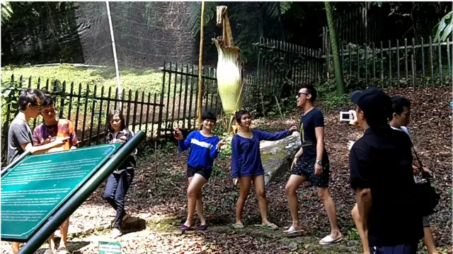 Turis yang menikmati Kebun Raya Cibodas