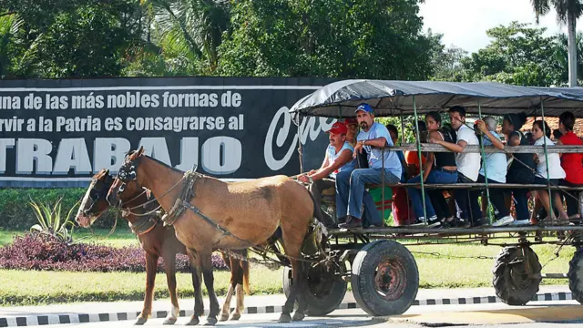 Carro de caballos 