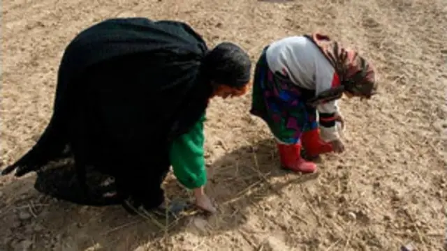 Жөнөкөй афгандыктардын жашоо турмушу дагы оңолбоду