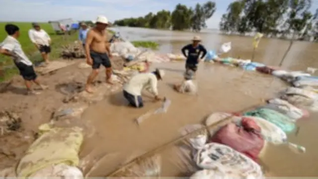 Lũ sông Cửu Long lên nhanh và cao hơn nhiều năm
