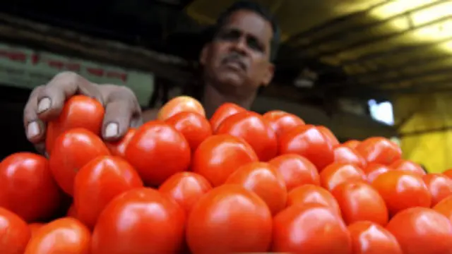 اس سال پاکستان میں آٹھ لاکھ ٹن ٹماٹر پیدا ہوا جس میں دو لاکھ ضائع ہو گیا: ابراہیم مغل