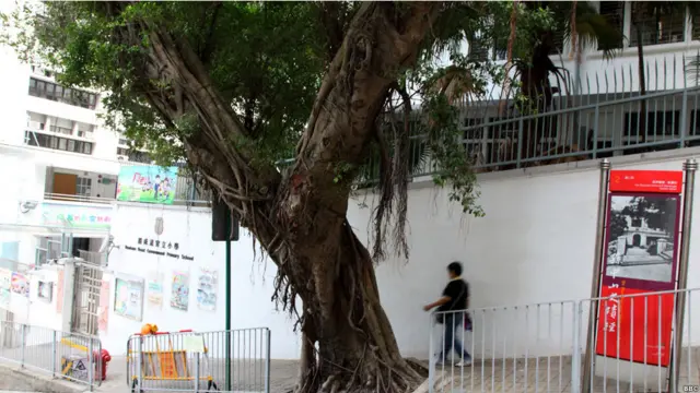 香港东边街入口处有一间“般含道官立小学”，它是拔萃书室旧址（02/10/2011，BBC中文网图片）