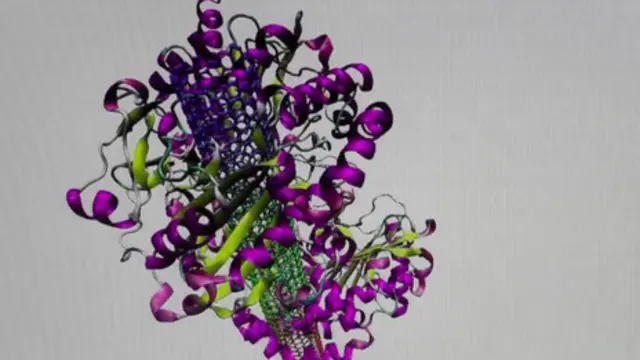 Las células de biocombustible