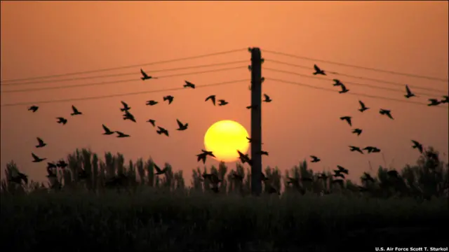 2005 йили ноябр ойида Хонобод узра шу вақтгача ҳилпираб турган АҚШ байроғи совуқлашиб кетган муносабатлар манзарасида туширилди