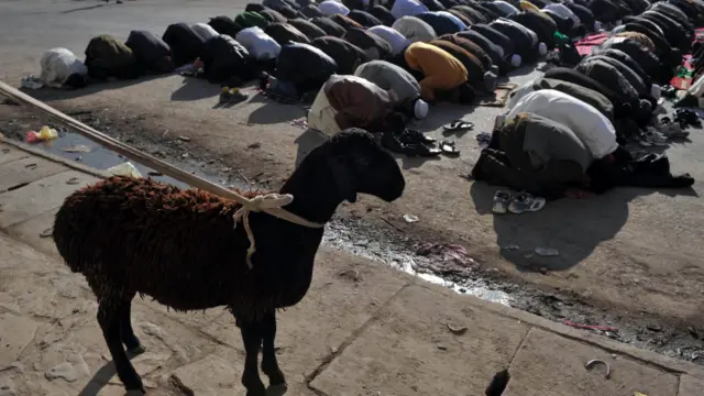 Salat Idul Adha di Afghanistan 