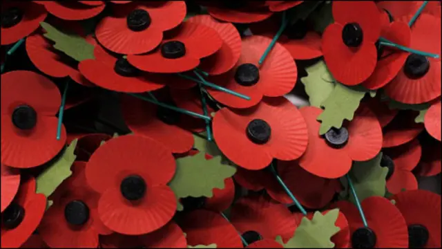  प्रधानमंत्री, पॉपी का फूल, लंदन, डायरी, पॉपी का फूल