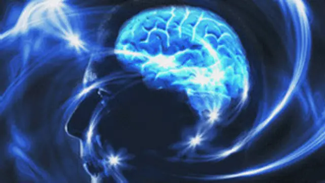 مقطع للدماغ