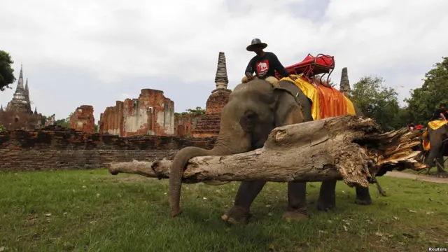 Gajah ikut membantu di Ayutthaya, Tahiland