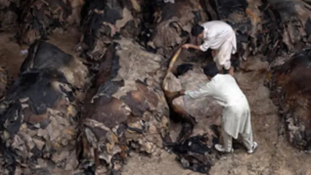 کھالیں اکٹھی کرنے والی کالعدم تنظیموں میں جماعتِ الدعواۃ کے علاوہ ملتِ اسلامیہ پاکستان، عاشقانِ صحابہ، غازی فورس، پاکستان اسلامی تحریک شامل ہیں۔