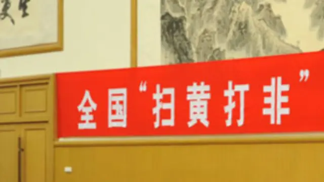 中國打黃掃非（打黃掃非網照片）