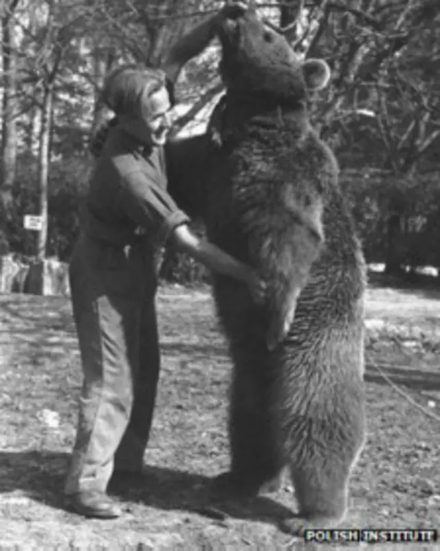 Wojtek, el oso