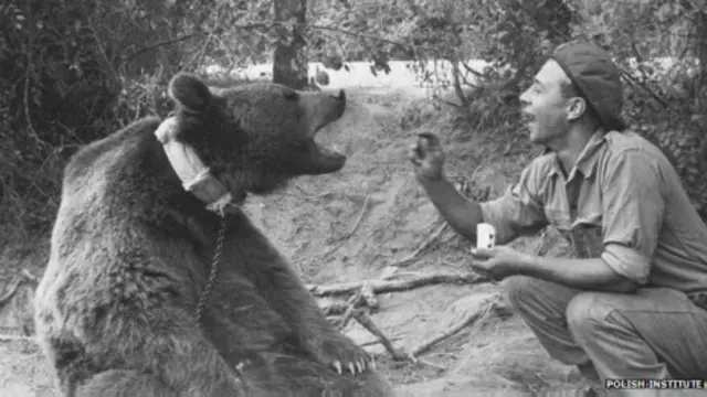 El oso Wojtek