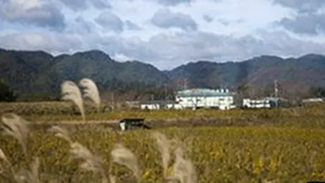 Sawah di seputar Fukushina