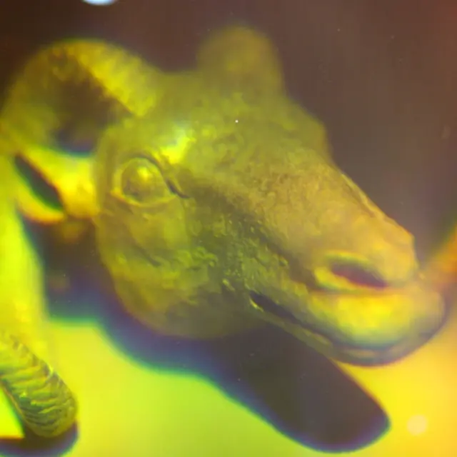 Голограма "Архар"