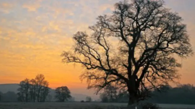 Amanecer en invierno