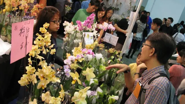 新加坡第20屆世界蘭花大會上游人在花卉市場挑選蘭花（18/11/2011）