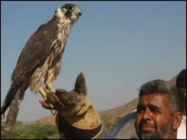 باز