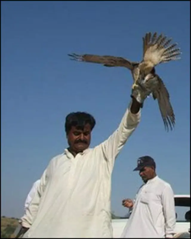 باز