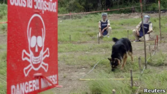 Полиция ищет мины