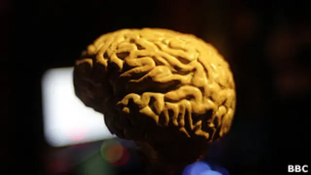 मस्तिष्क