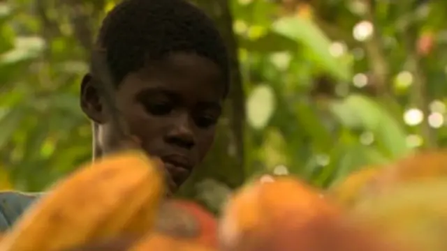Les victimes, âgées de 5 à 16 ans, étaient utilisées comme "ouvriers" dans les riches plantations de San Pedro.