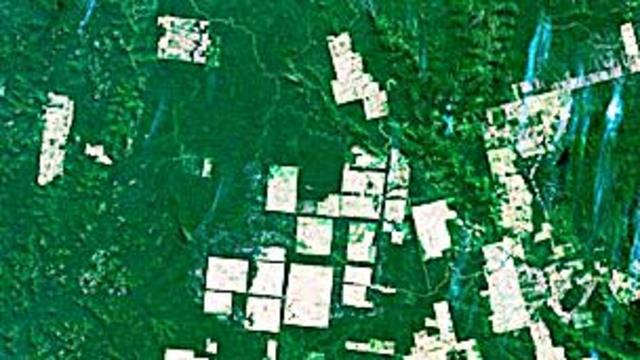 Deforestación en una imagen satelital Foto PLANETOBSERVER/SCIENCE PHOTO LIBRARY
