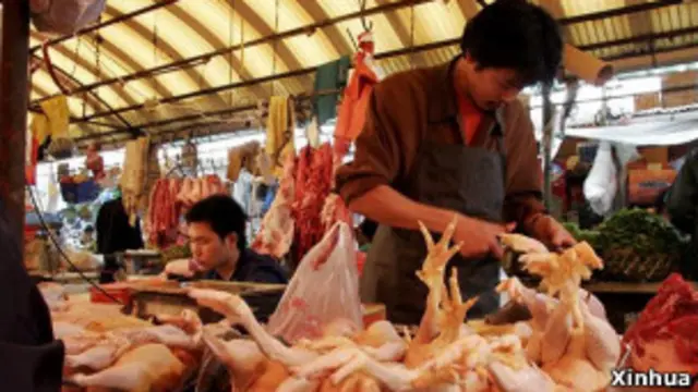 中美雞肉貿易摩擦波瀾再起