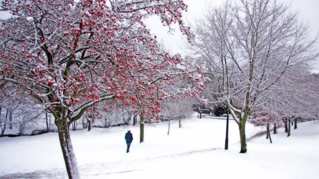 چاروں اطراف برف کے ہوتے ہوئے آپ کو شاید ہی سفید کے علاوہ کوئی دوسرا رنگ دکھائی دے پائے۔