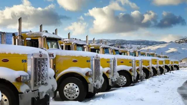 برف کے دبیز تہہ نے ہر چیز کو ڈھک دیا ہے۔ 