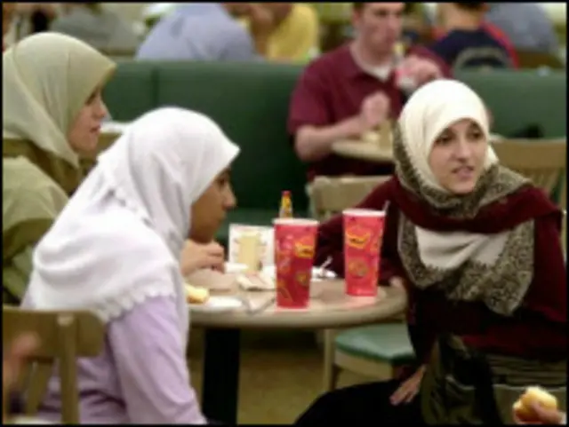 ''ټول امریکايي مسلمانان'' سریال د پنځو امریکايي مسلمانو کورنیو پر ورځني ژوند راڅرخېده.