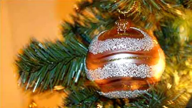 Ўзбекистон юлдузларининг Янги йил тилаклари