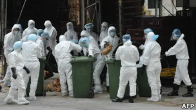 В Гонконге забили 17 тыс. кур