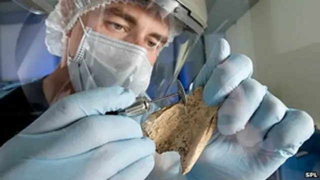 antiguo rompecabezas