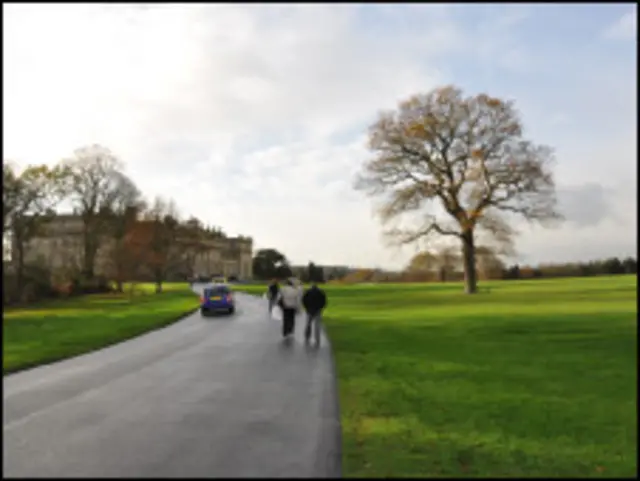 海尔伍德大宅墙纸(海尔伍德庄园提供图片)
