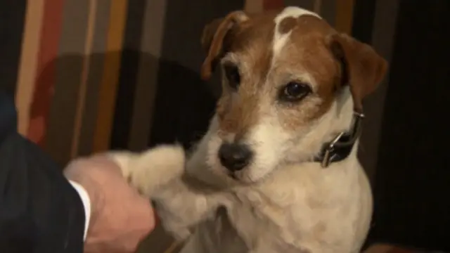 Уґґі дає інтерв'ю Бі-Бі-Сі