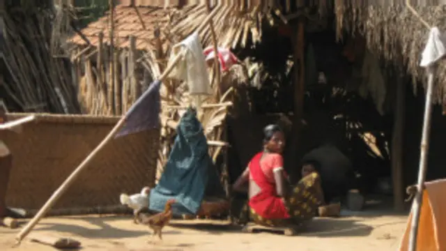 छत्तीसगढ़ के बस्तर संभाग से कई आदिवासी पलायन करके आंध्रप्रदेश चले गए हैं