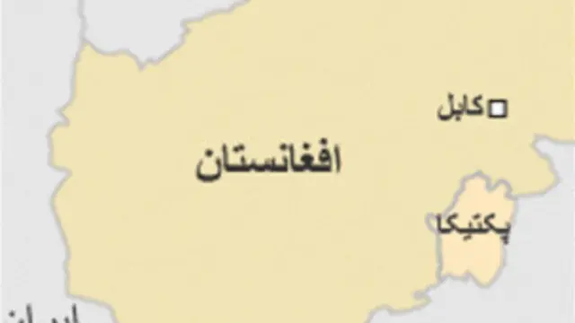 مواد منفجره در پالان‌های این خرها جاسازی شده بود و در ولسوالی مرزی گیان ولایت پکتیکا کشف شد