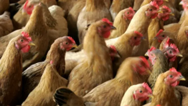 په ازبکستان کې چې په کې د نغدو پيسو کمى دى په تنخوا کې د خوراکي توکو ورکړه په کليوالي سيمو کې عادي چاره ده.