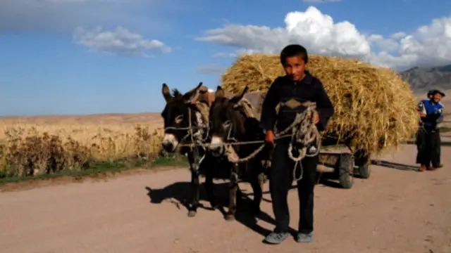 Uy qurilishi anal porno rasmlar