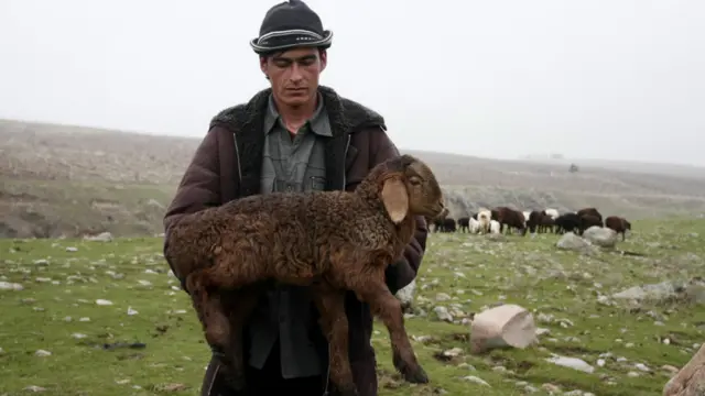 Паркентда баҳор. 